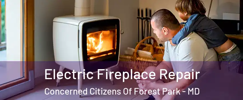 Electric Fireplace Repair Concerned Citizens Of Forest Park - MD