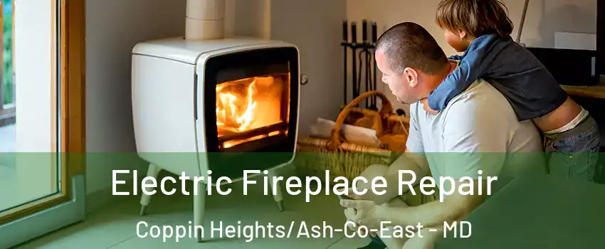 Electric Fireplace Repair Coppin Heights/Ash-Co-East - MD