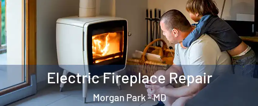 Electric Fireplace Repair Morgan Park - MD
