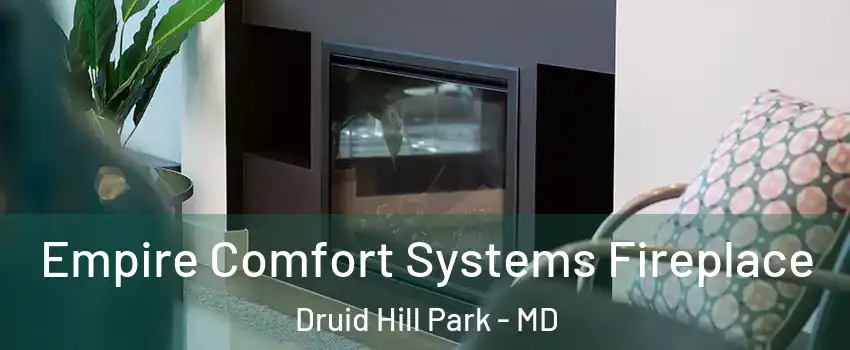 Empire Comfort Systems Fireplace Druid Hill Park - MD