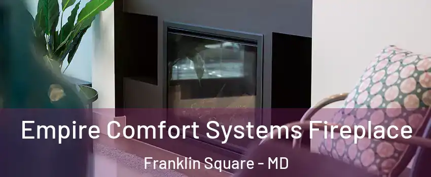 Empire Comfort Systems Fireplace Franklin Square - MD