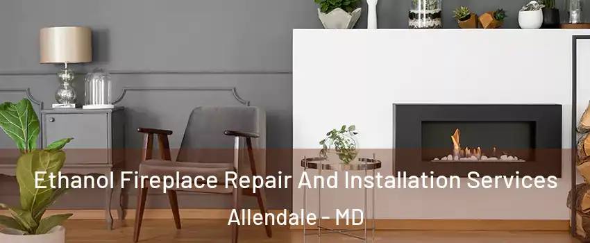 Ethanol Fireplace Repair And Installation Services Allendale - MD