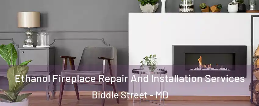 Ethanol Fireplace Repair And Installation Services Biddle Street - MD