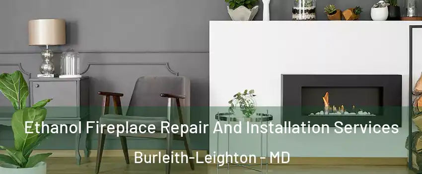 Ethanol Fireplace Repair And Installation Services Burleith-Leighton - MD