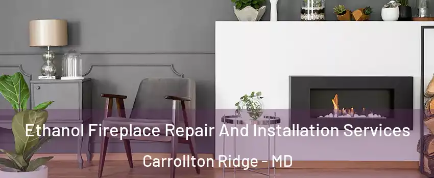 Ethanol Fireplace Repair And Installation Services Carrollton Ridge - MD
