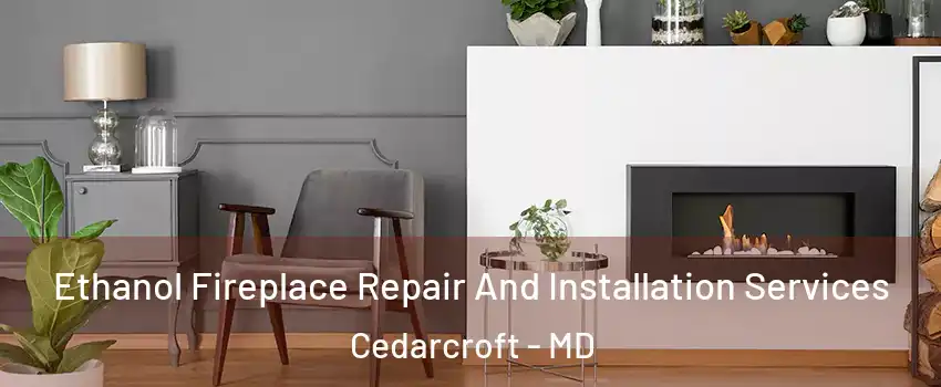 Ethanol Fireplace Repair And Installation Services Cedarcroft - MD