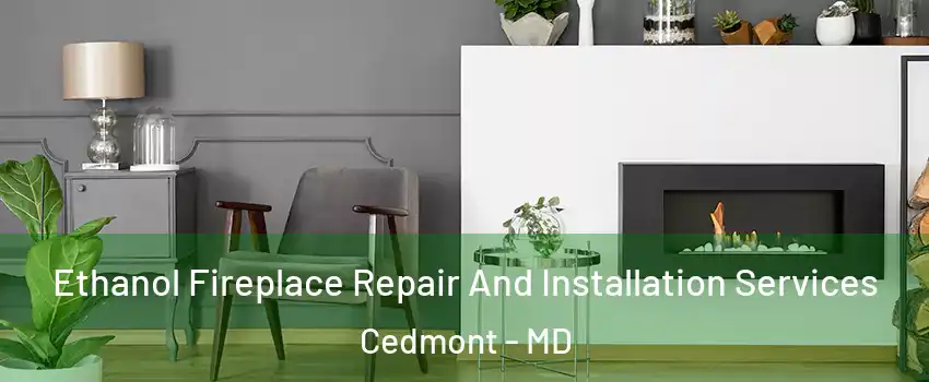 Ethanol Fireplace Repair And Installation Services Cedmont - MD