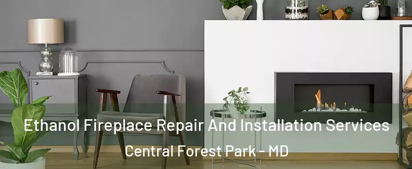 Ethanol Fireplace Repair And Installation Services Central Forest Park - MD