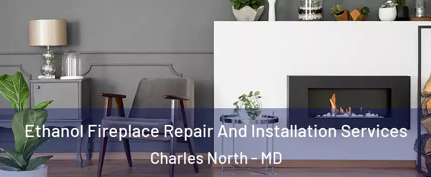 Ethanol Fireplace Repair And Installation Services Charles North - MD