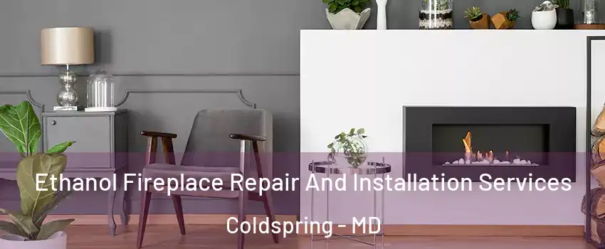 Ethanol Fireplace Repair And Installation Services Coldspring - MD