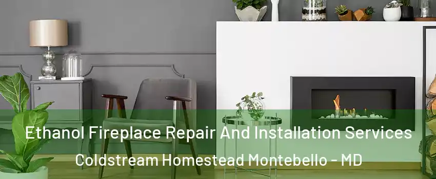 Ethanol Fireplace Repair And Installation Services Coldstream Homestead Montebello - MD