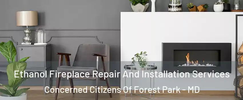 Ethanol Fireplace Repair And Installation Services Concerned Citizens Of Forest Park - MD