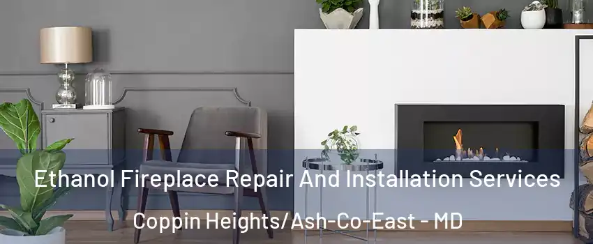 Ethanol Fireplace Repair And Installation Services Coppin Heights/Ash-Co-East - MD