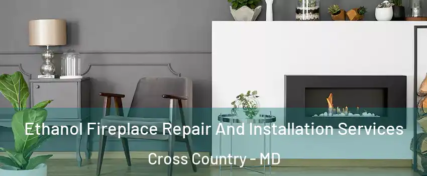 Ethanol Fireplace Repair And Installation Services Cross Country - MD