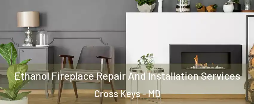 Ethanol Fireplace Repair And Installation Services Cross Keys - MD