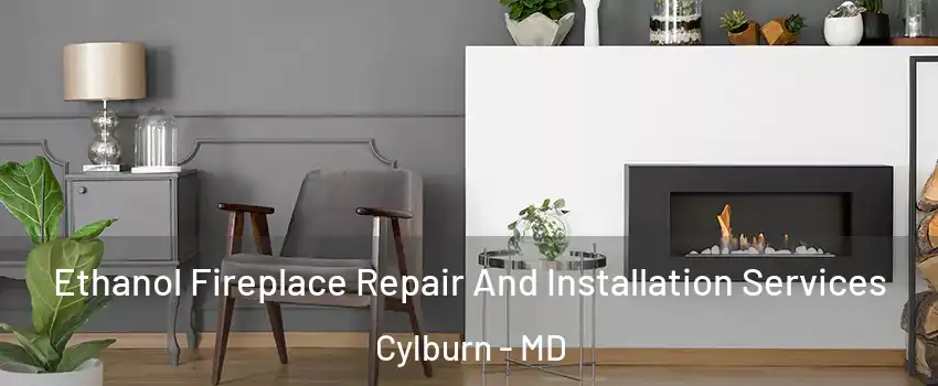 Ethanol Fireplace Repair And Installation Services Cylburn - MD
