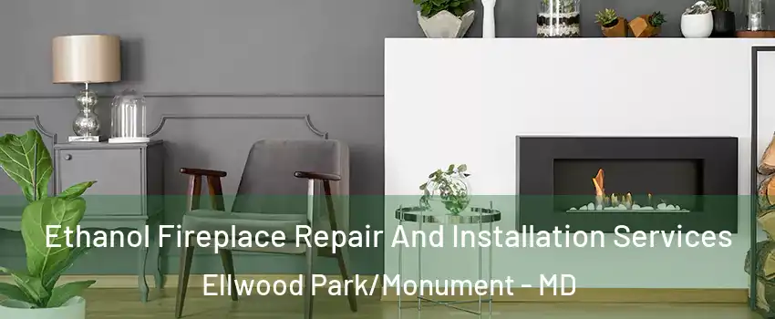 Ethanol Fireplace Repair And Installation Services Ellwood Park/Monument - MD