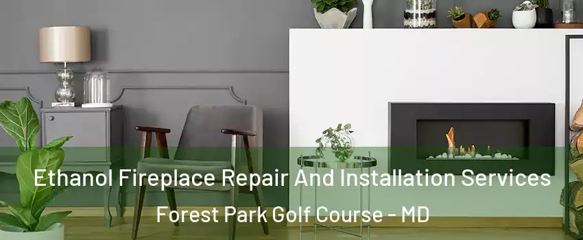 Ethanol Fireplace Repair And Installation Services Forest Park Golf Course - MD