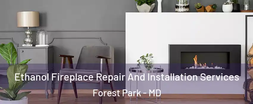 Ethanol Fireplace Repair And Installation Services Forest Park - MD