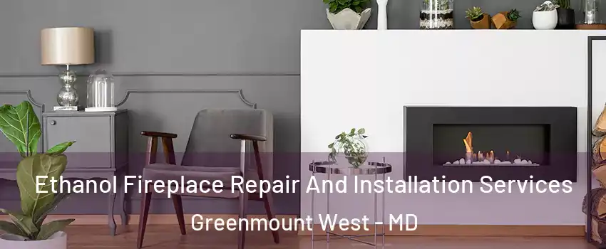 Ethanol Fireplace Repair And Installation Services Greenmount West - MD