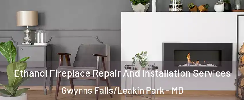 Ethanol Fireplace Repair And Installation Services Gwynns Falls/Leakin Park - MD