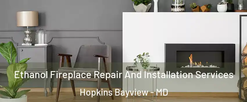 Ethanol Fireplace Repair And Installation Services Hopkins Bayview - MD