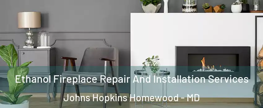 Ethanol Fireplace Repair And Installation Services Johns Hopkins Homewood - MD