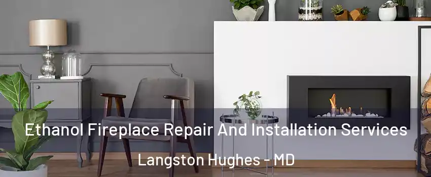 Ethanol Fireplace Repair And Installation Services Langston Hughes - MD