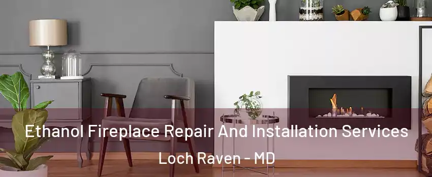 Ethanol Fireplace Repair And Installation Services Loch Raven - MD
