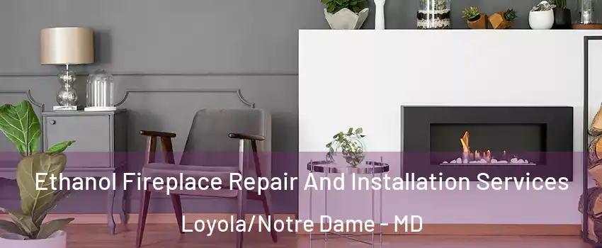 Ethanol Fireplace Repair And Installation Services Loyola/Notre Dame - MD
