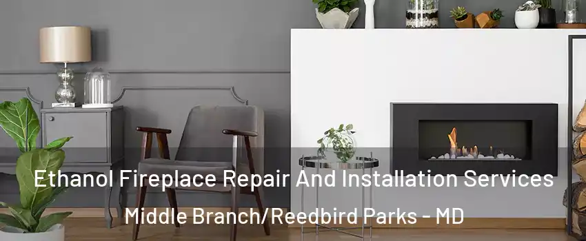 Ethanol Fireplace Repair And Installation Services Middle Branch/Reedbird Parks - MD