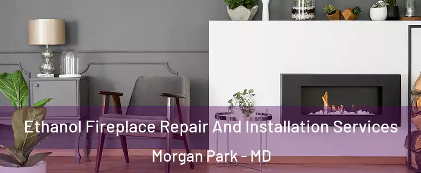 Ethanol Fireplace Repair And Installation Services Morgan Park - MD