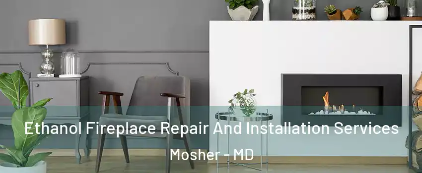 Ethanol Fireplace Repair And Installation Services Mosher - MD