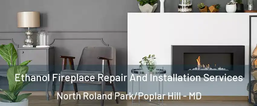 Ethanol Fireplace Repair And Installation Services North Roland Park/Poplar Hill - MD