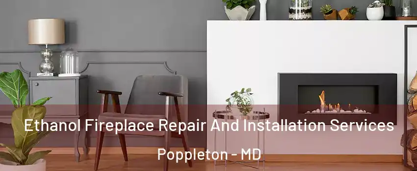 Ethanol Fireplace Repair And Installation Services Poppleton - MD