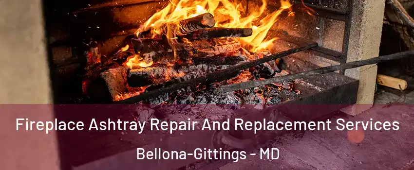 Fireplace Ashtray Repair And Replacement Services Bellona-Gittings - MD