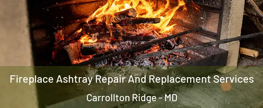 Fireplace Ashtray Repair And Replacement Services Carrollton Ridge - MD