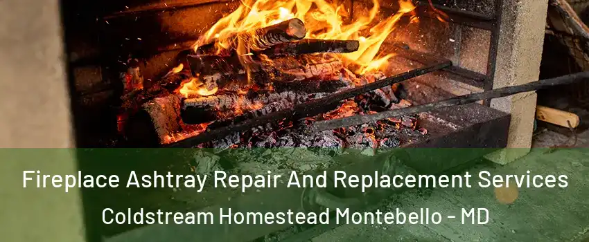 Fireplace Ashtray Repair And Replacement Services Coldstream Homestead Montebello - MD