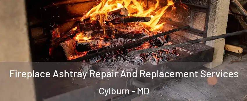 Fireplace Ashtray Repair And Replacement Services Cylburn - MD