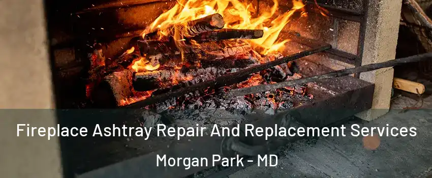 Fireplace Ashtray Repair And Replacement Services Morgan Park - MD