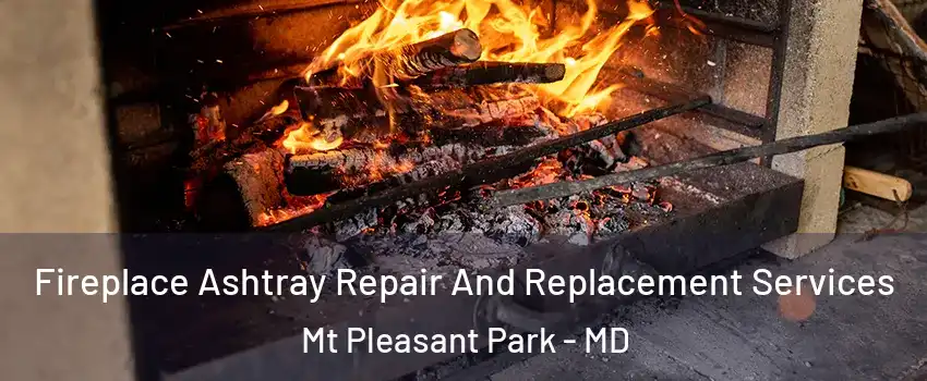Fireplace Ashtray Repair And Replacement Services Mt Pleasant Park - MD