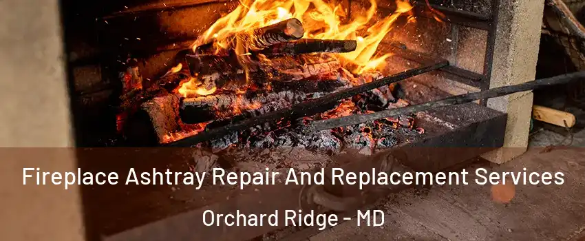 Fireplace Ashtray Repair And Replacement Services Orchard Ridge - MD