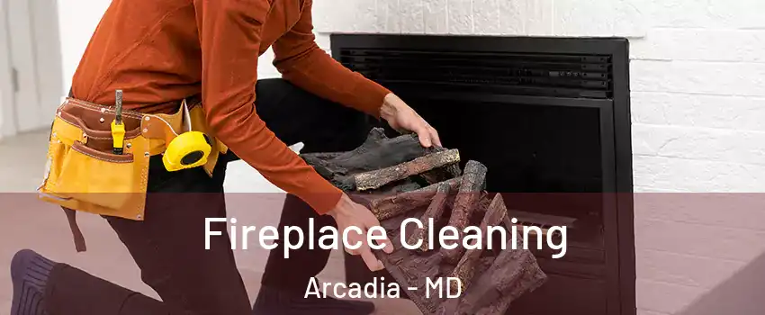 Fireplace Cleaning Arcadia - MD