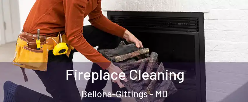 Fireplace Cleaning Bellona-Gittings - MD