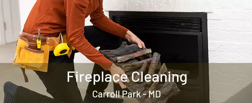 Fireplace Cleaning Carroll Park - MD