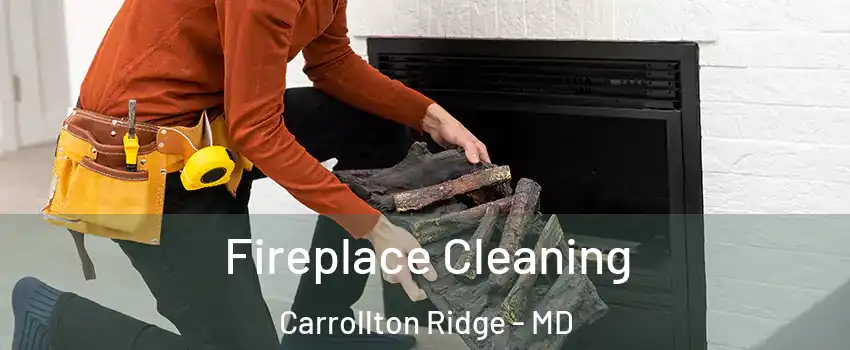 Fireplace Cleaning Carrollton Ridge - MD