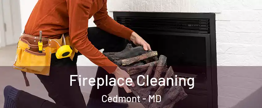 Fireplace Cleaning Cedmont - MD