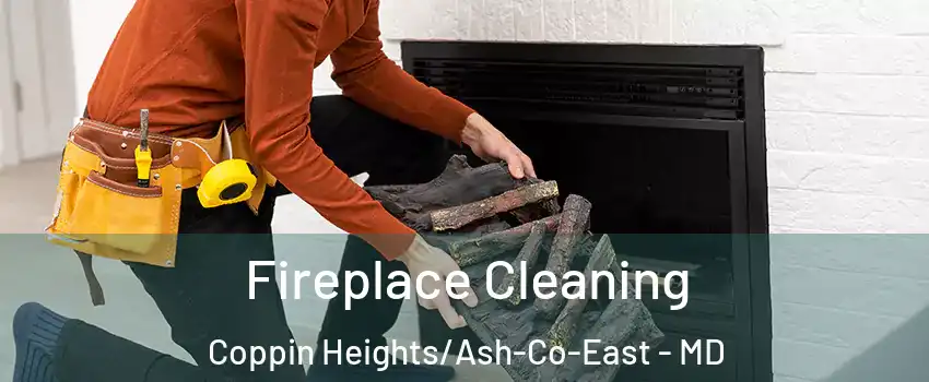 Fireplace Cleaning Coppin Heights/Ash-Co-East - MD