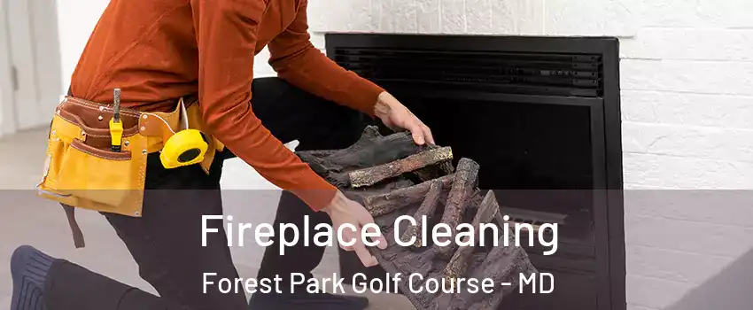 Fireplace Cleaning Forest Park Golf Course - MD