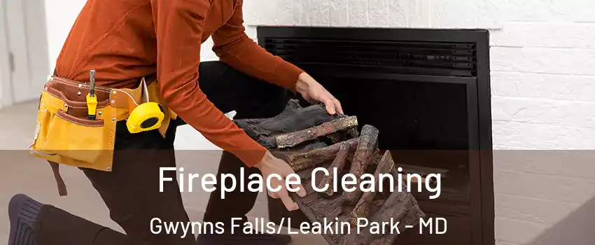 Fireplace Cleaning Gwynns Falls/Leakin Park - MD